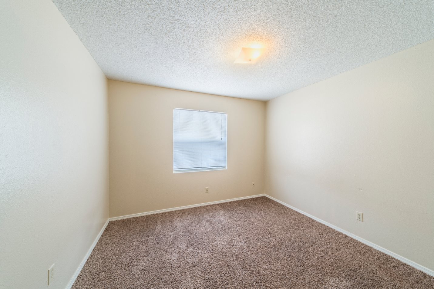 Gallery Photo 16